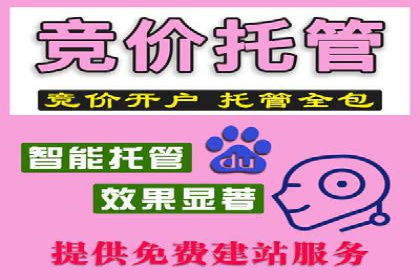案例分析：竞价推广助力企业打造爆款产品